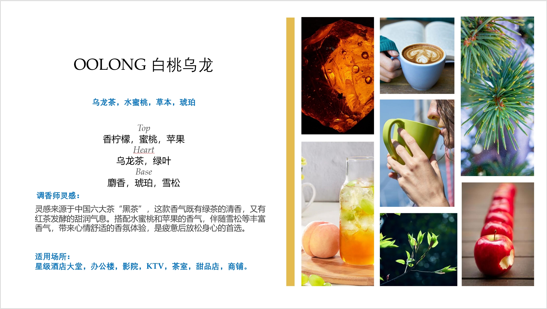 微信图片_20231016164908_副本.jpg