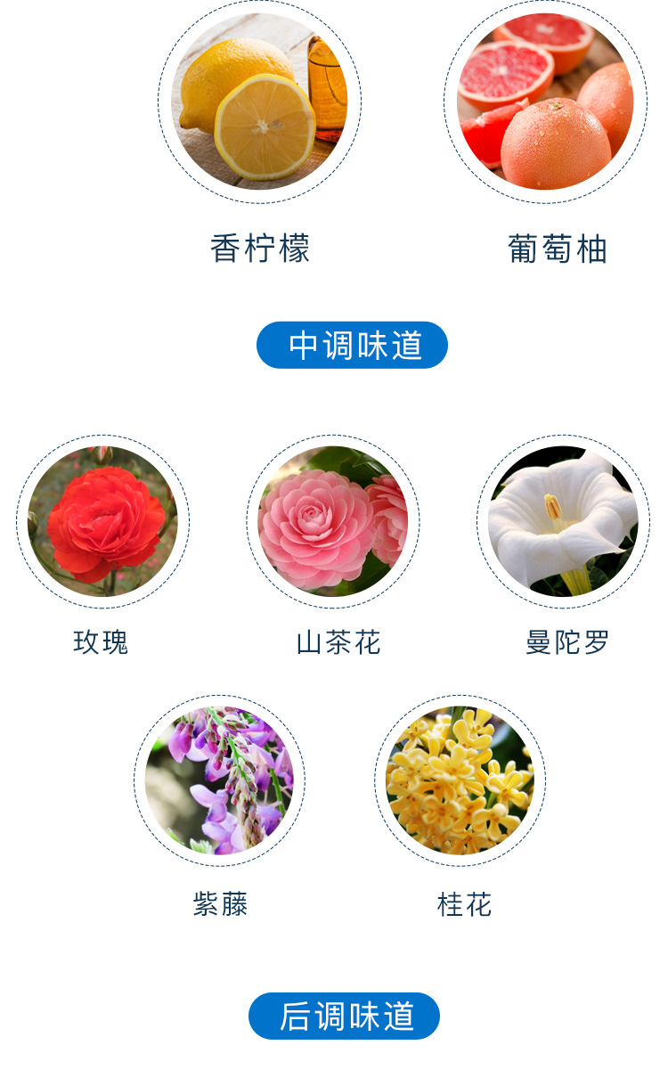 车载-PSD_10.jpg