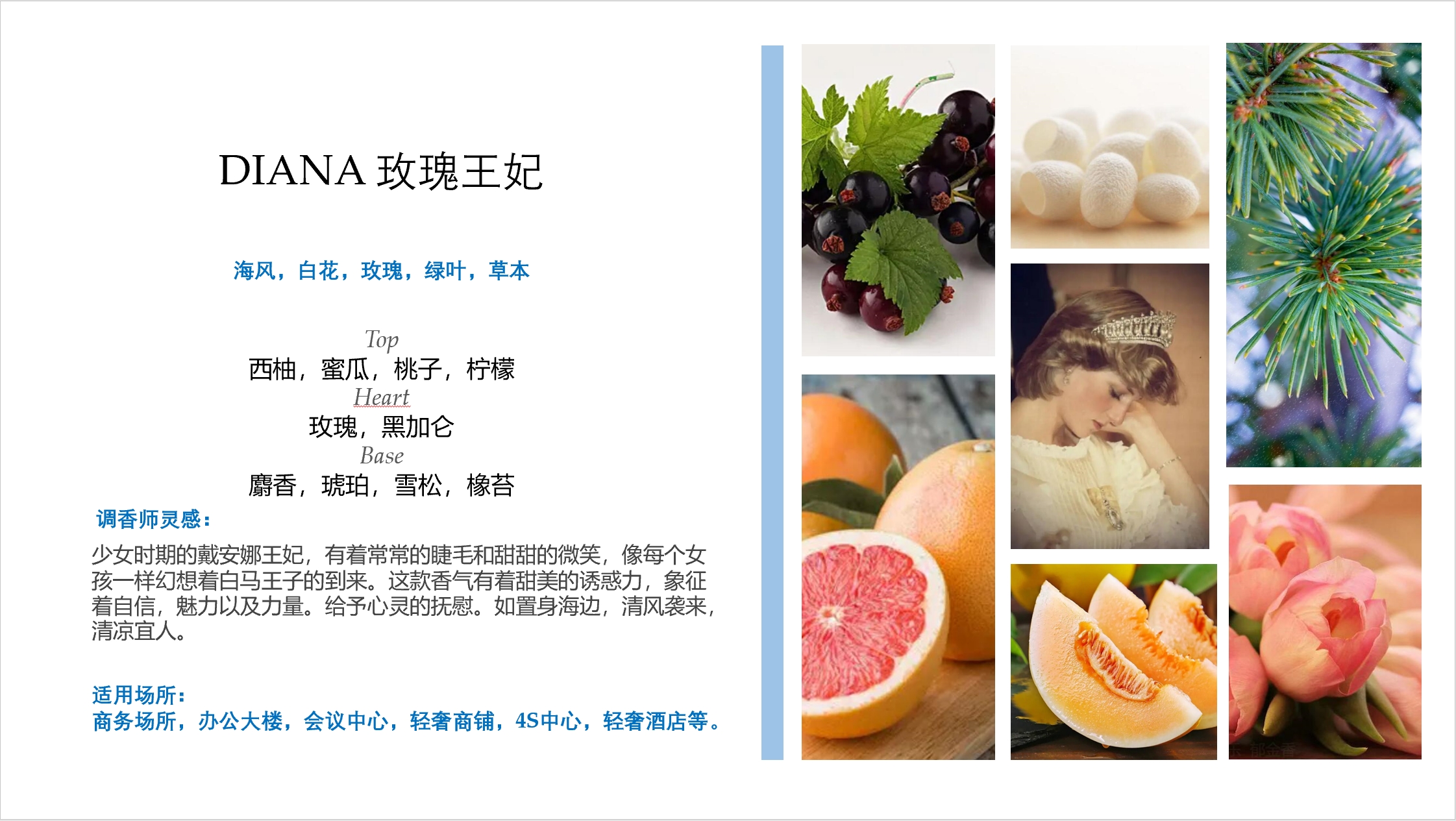 微信图片_20231016164132_副本.jpg