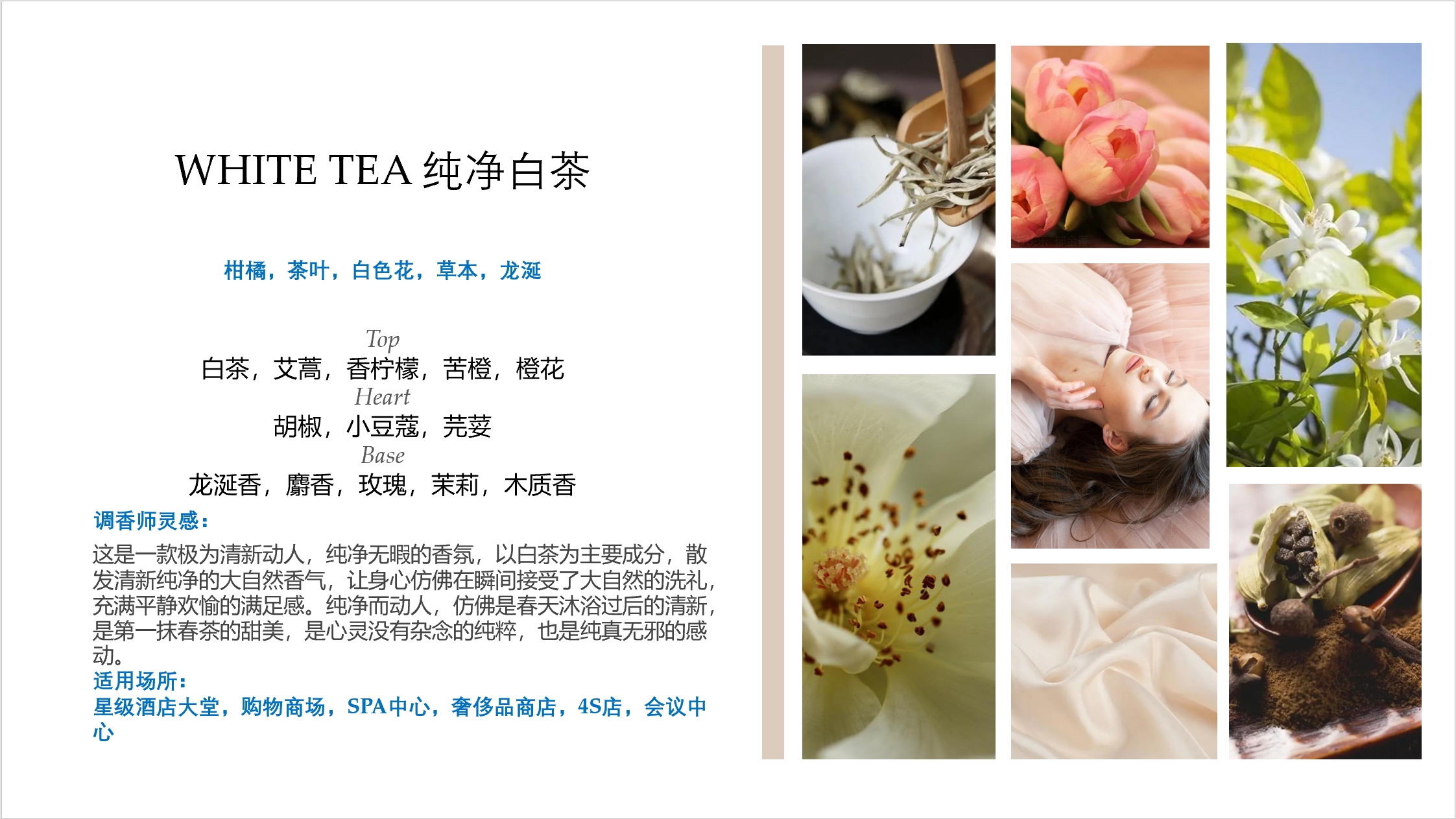微信图片_20231016164552_副本.jpg